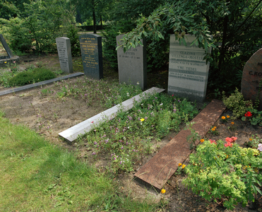 822084 Afbeelding van enkele graven op de 4e Algemene Begraafplaats Daelwijck (Floridadreef 11) te Utrecht.
